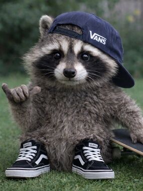 Meet your Posher, Jay